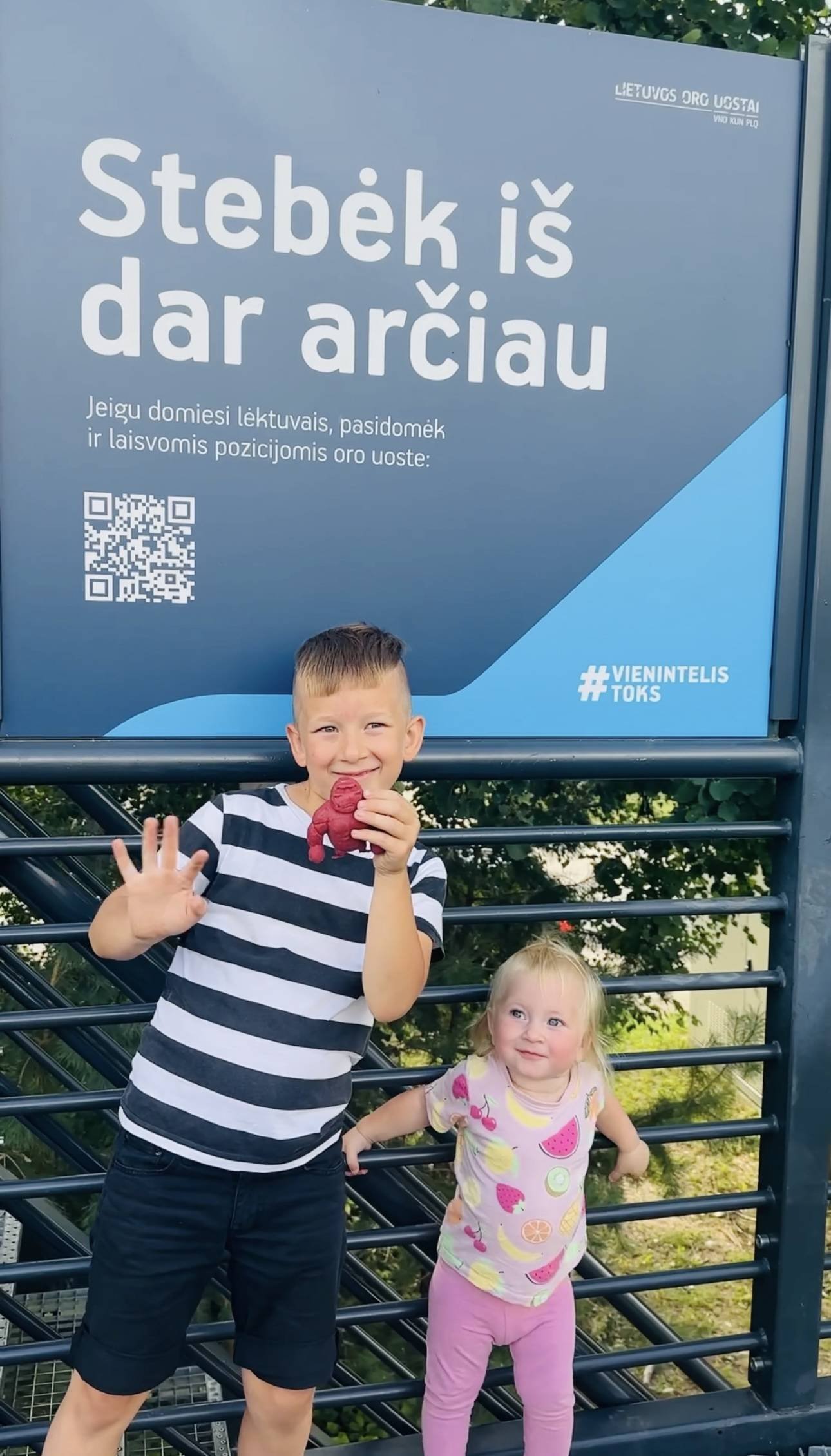 Airplane viewing platform