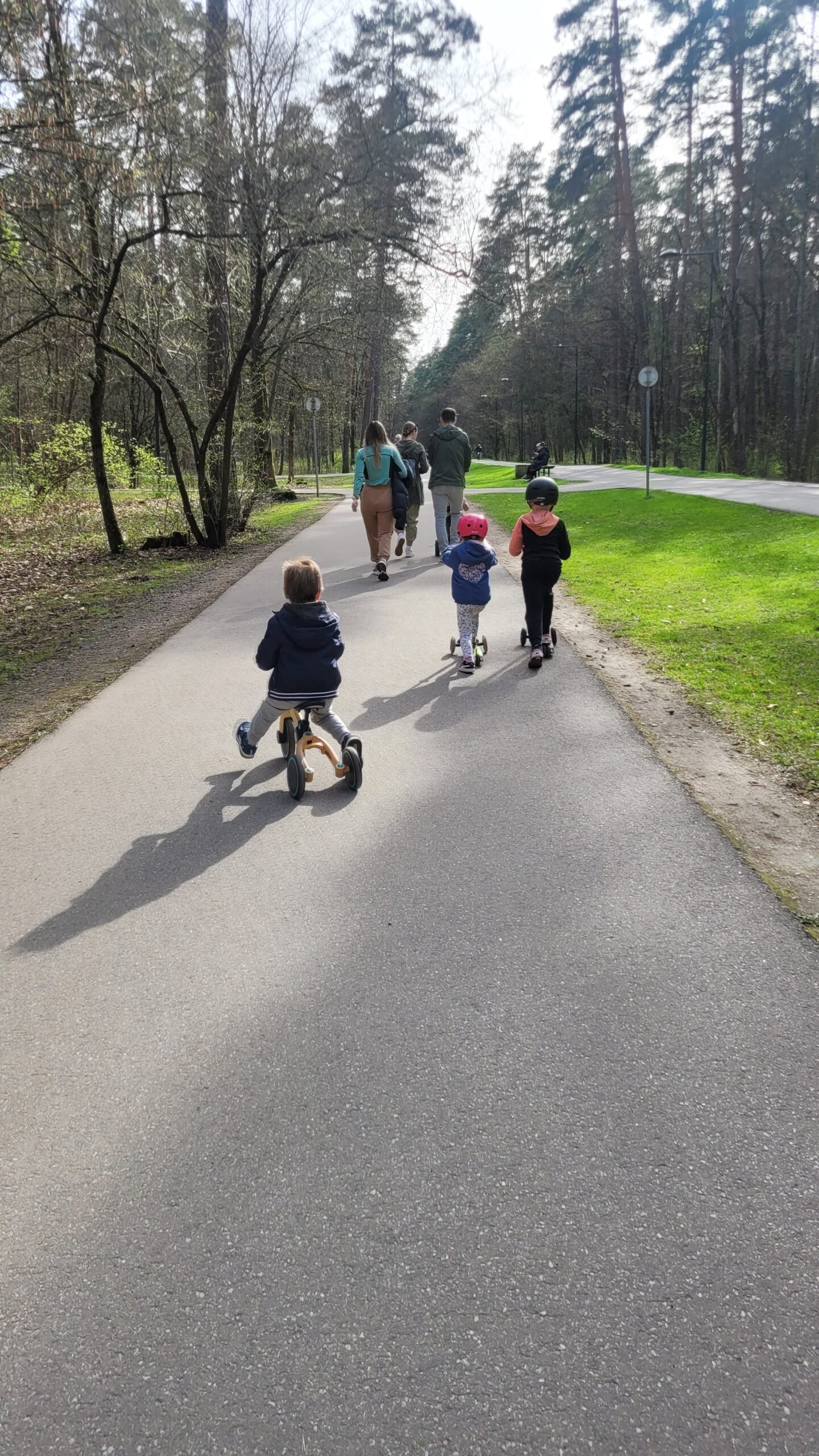 Vingis park