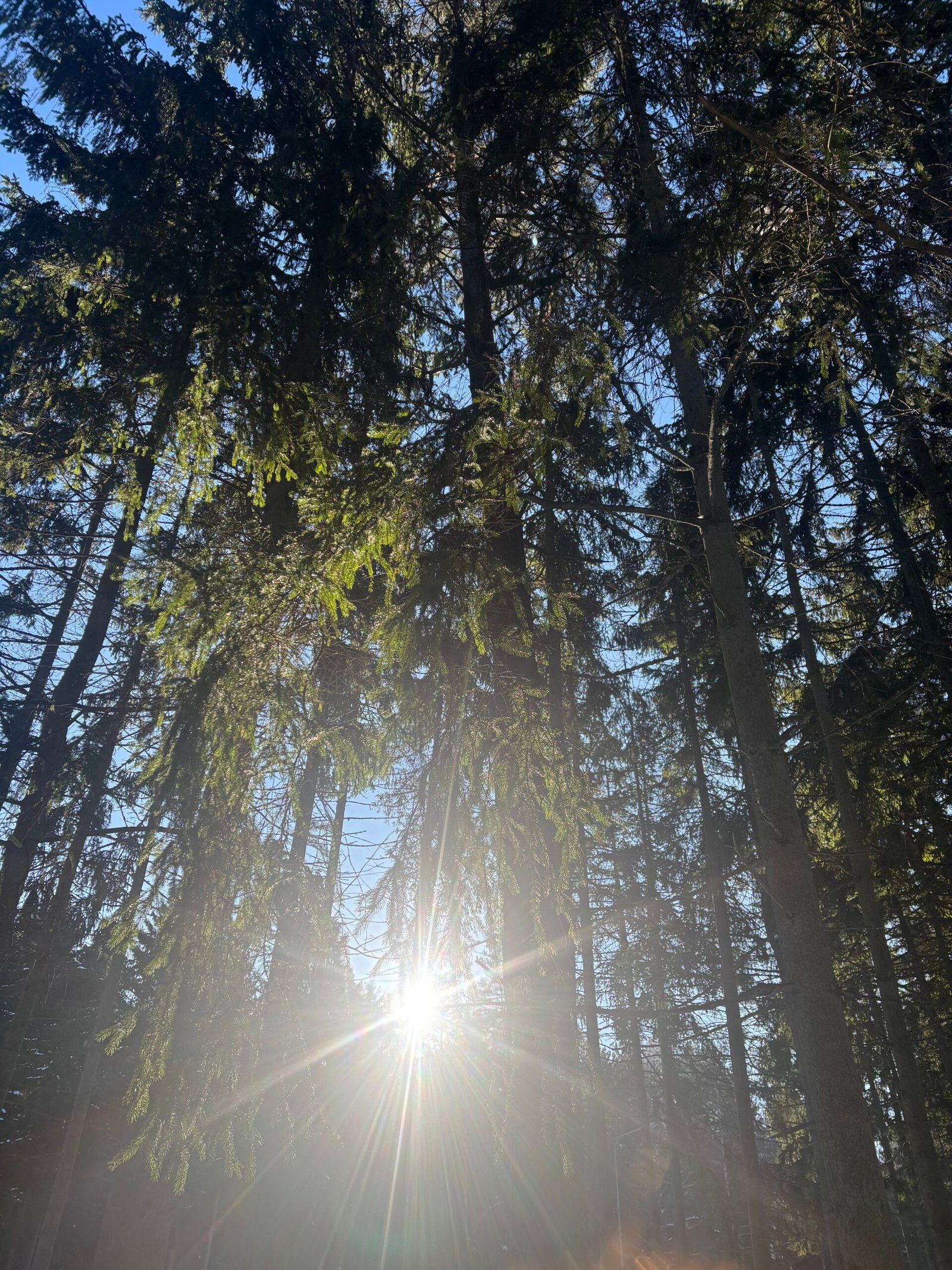 Winter on the Lithuanian coast