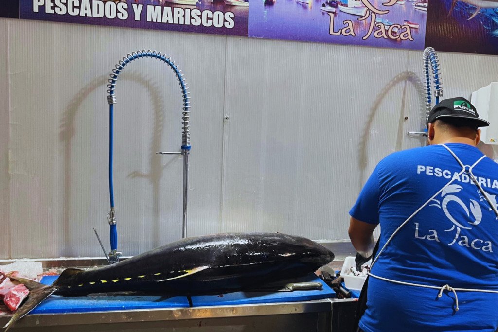 What fish to try in Tenerife