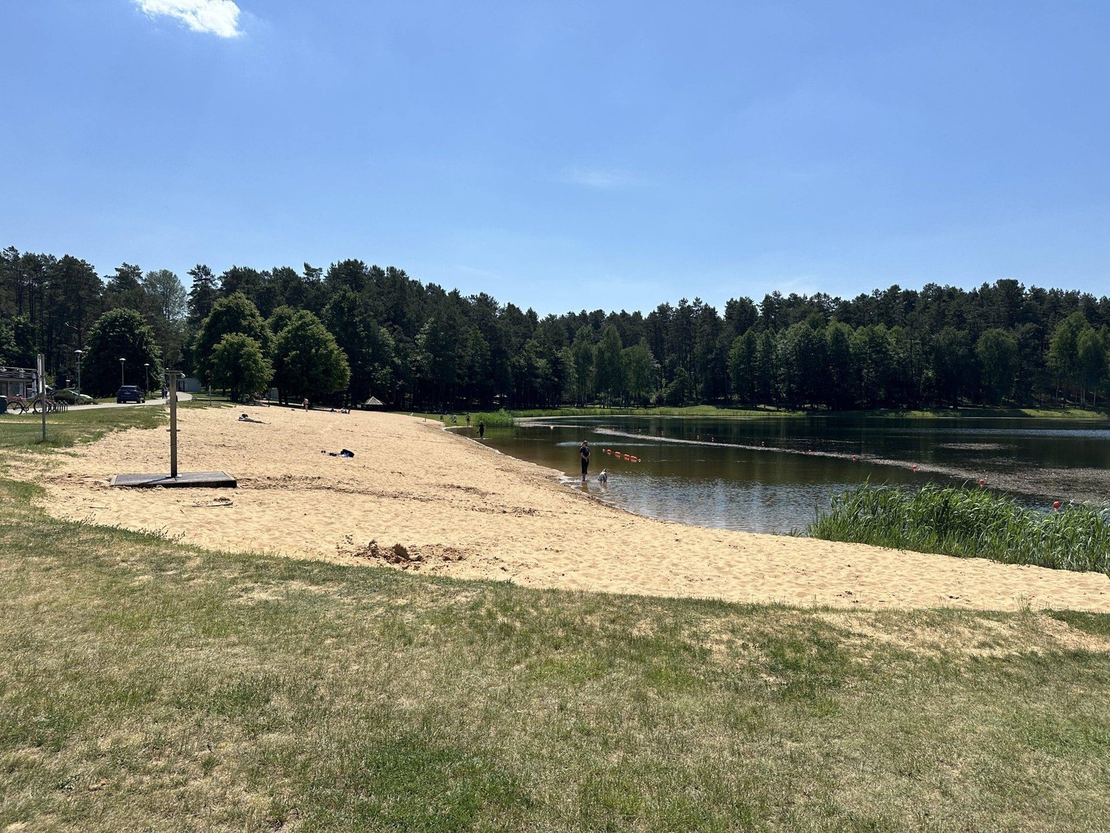 Vijunele park and the coast of lake Druskonis