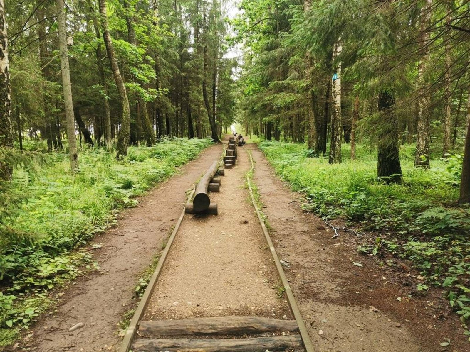 Ilgis Lake nature trail (photo by Žemaitija Tourism Information Center)