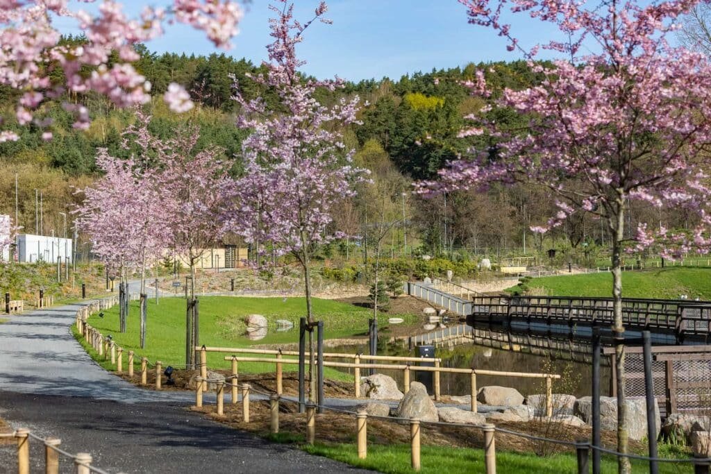 Japanese Garden (photo by Saulius Žiūra)