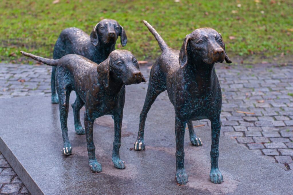 Animals hidden in the streets of Vilnius