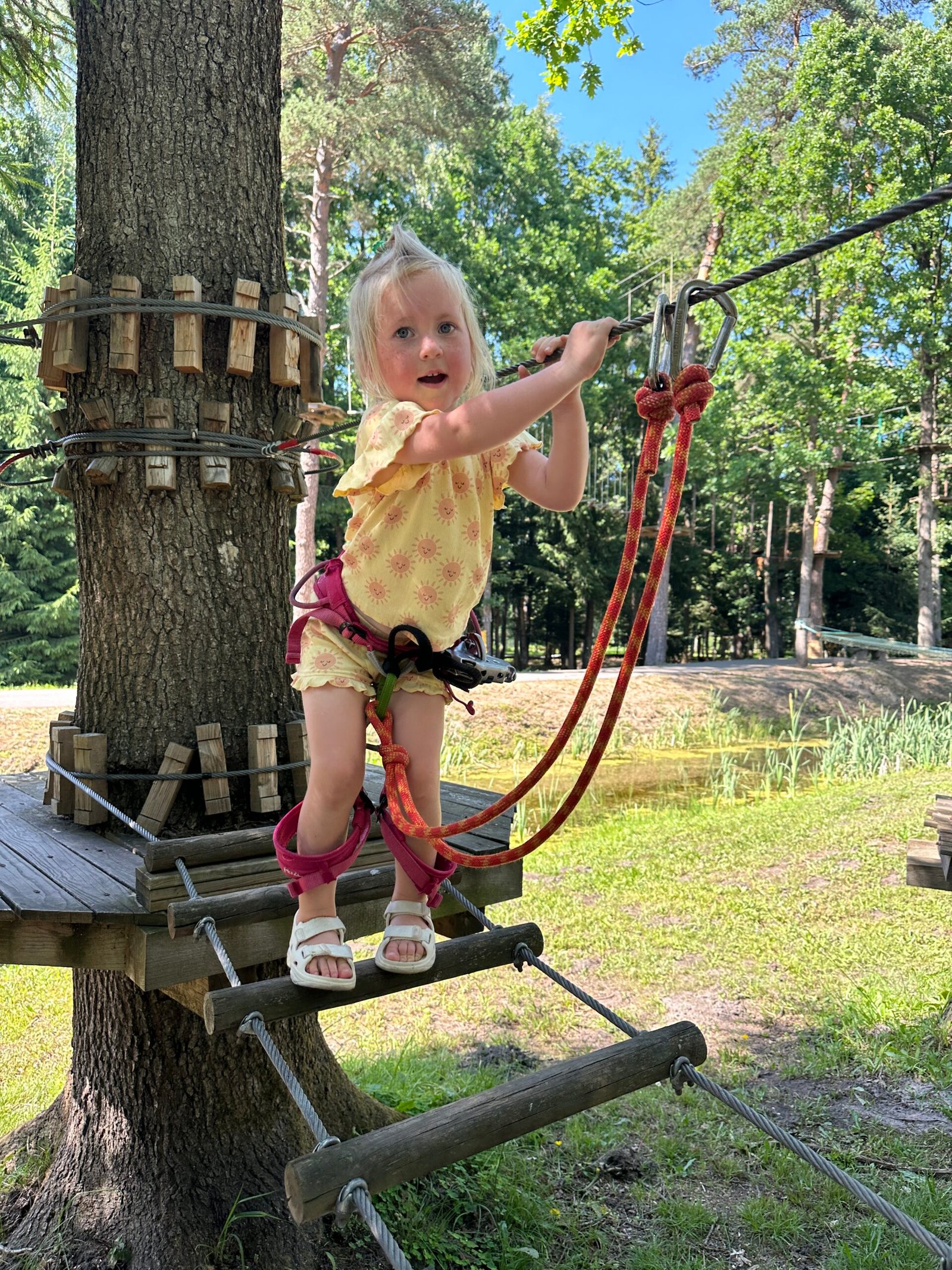 Climbing park in Tauragė