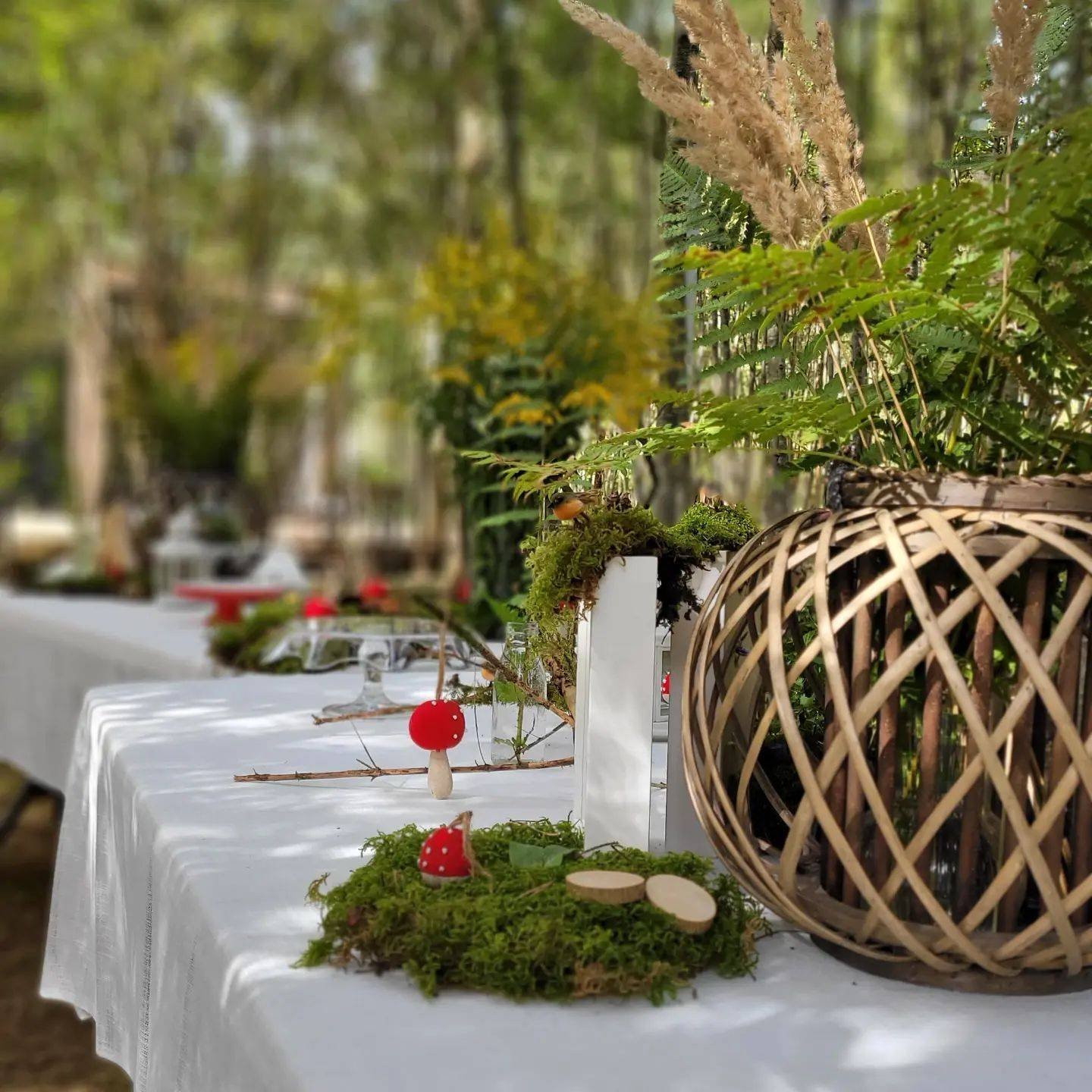 TekaTeka Campsite