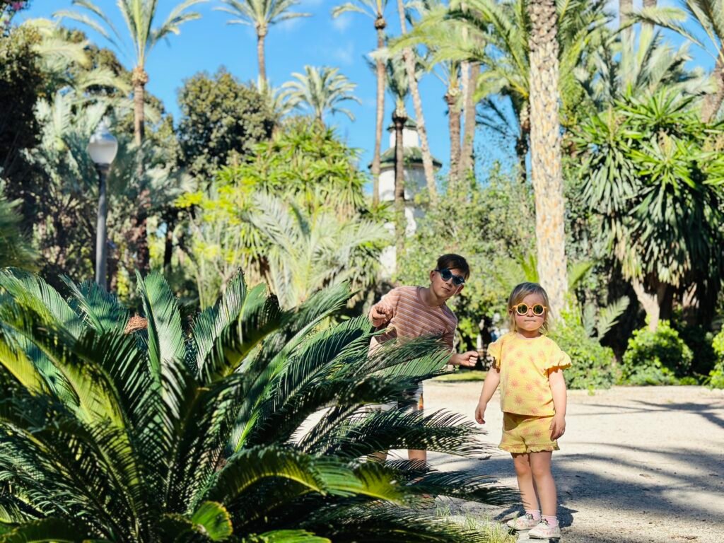 The largest palm grove in Europe in Elche