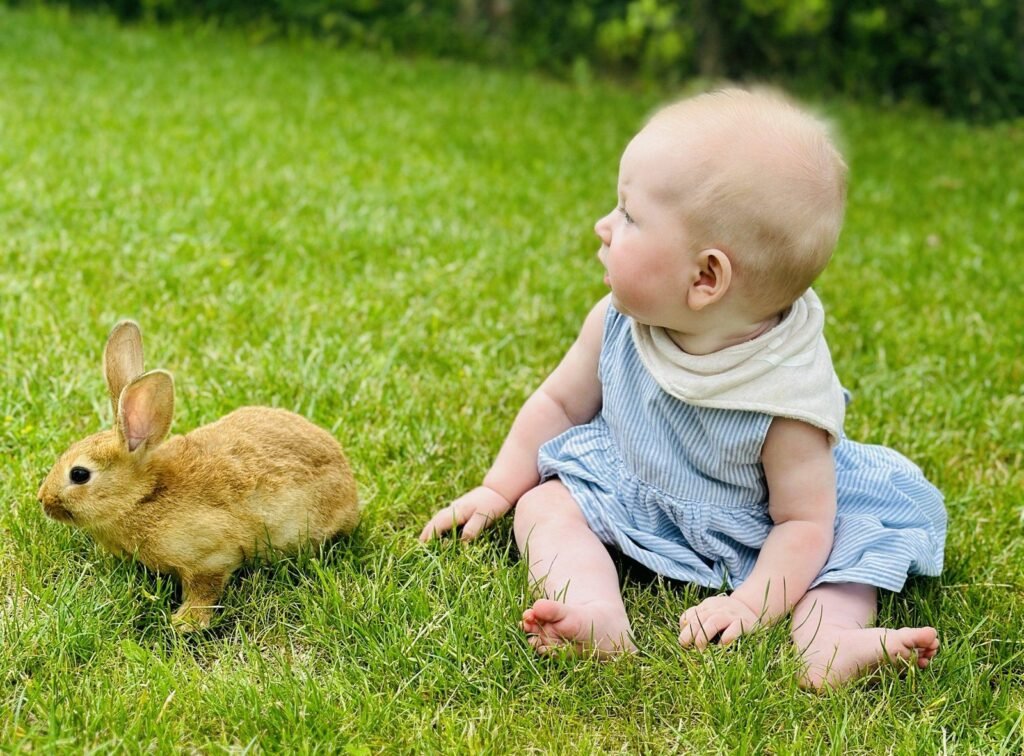 Top85 animal farms and parks in Lithuania
