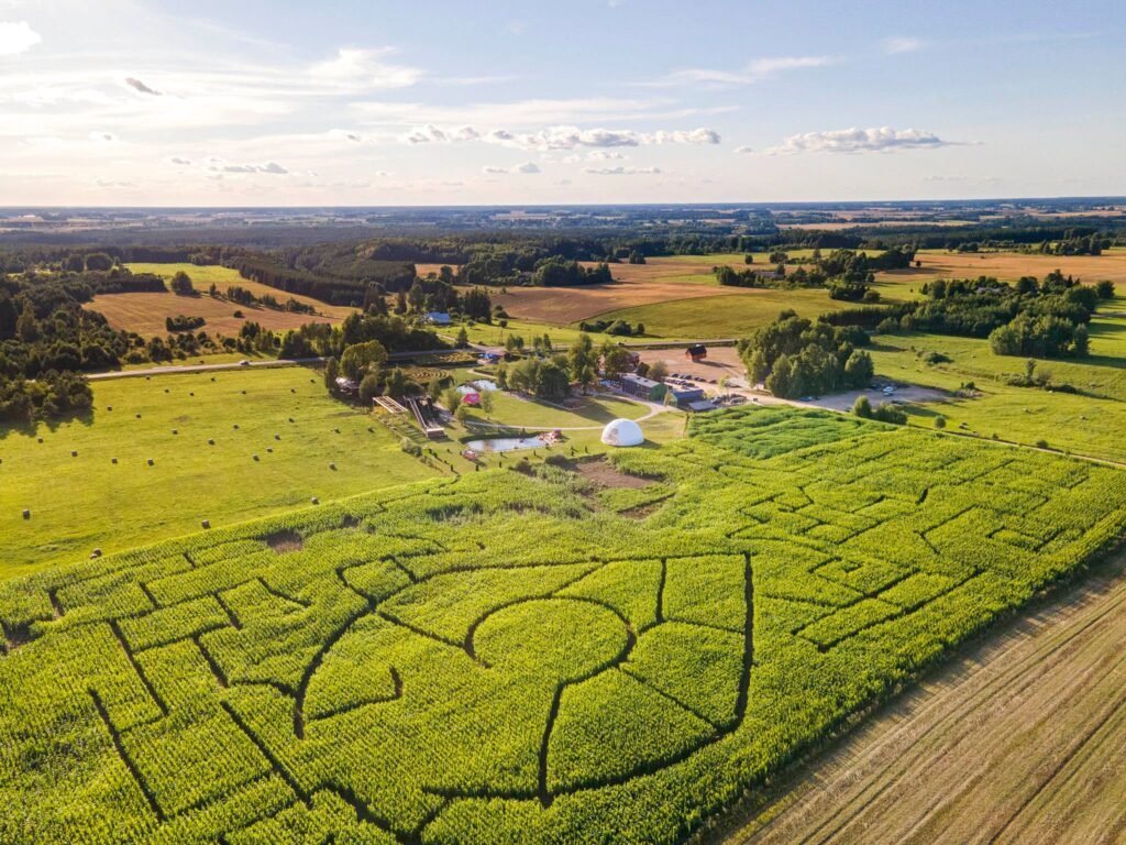 8 different mazes in LABI park: the biggest maze adventure in Lithuania